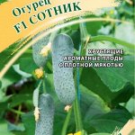 Огурец Сотник F1 50 шт. автор. Н24