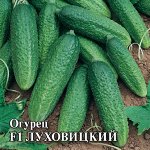 Огурец Луховицкий F1 100 шт. корнишон 2027 г.