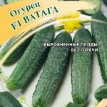 Огурец Ватага F1 100 шт. автор. 2027 г.