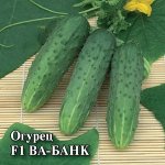 Огурец Ва-Банк F1 100 шт. Н23 2027 г.