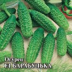 Огурец Барабулька F1 100 шт. корнишон 2027 г.