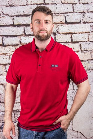 Футболка 2487В бордовый CAHOTER