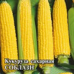 Кукуруза Соблазн F1 сахарная 50,0 г 2027 г.