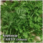 Кориандр Санто 25,0 г (Саката)