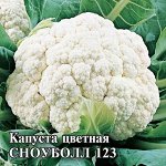 Капуста цветная Сноуболл 123  10,0 г 2027 г.