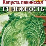 Капуста пекинская Нежность F1 10,0 г 2027 г.