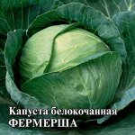 Капуста белокоч. Фермерша 10 г (ранняя) DH 2027 г.