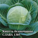 Капуста белокоч. Слава 1305 10,0 г для квашения
