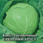 Капуста белокоч. Сахарный хруст 25 г (ранняя)