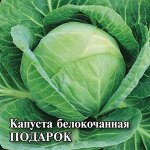 Капуста белокоч. Подарок 25,0 г для квашения 2027 г.