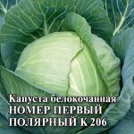 Капуста белокоч. Номер первый полярный К 206 25 г (ранняя) DH