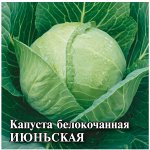 Капуста белокоч. Июньская 25,0 г (ранняя) 2027 г.