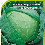 Капуста белокоч. Грин Бой F1 250 шт. для квашения (Саката) 2027 г.