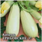 Кабачок Грибовские 37  25,0 г 2027 г.