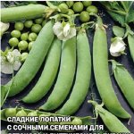 Горох Сахарная подружка 0,5 кг 2027 г.