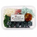 Набор для творчества «Набор сухоцветов» большой, розовый + жёлтый + голубой + зелёный