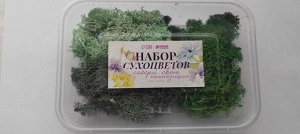 Набор сухоцветов «Мох», цвет МИКС