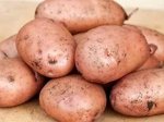 Картофель Жуковский ранний, желтый 1уп