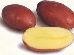 Картофель Розара суперранний желтый 1уп