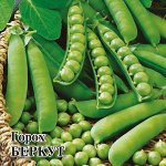 Горох Беркут 50,0 г
