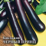 Баклажан Черный принц 25,0 г