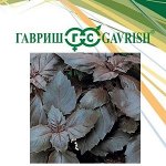 Базилик Философ 10,0 г автор.