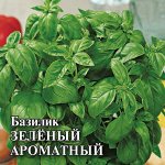 Базилик Зеленый ароматный 10,0 г 2027 г.