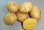 Картофель Казачок среднепоздний, желтый 1уп
