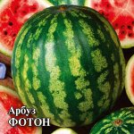 Арбуз Фотон 10,0 г 2027 г.
