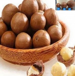Орех Макадамия в скорлупе (размер 5 А) 500 гр Китай