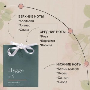 Саше ароматическое Hygge #4 "Источник гармонии"