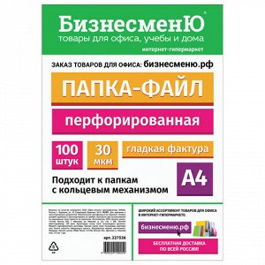 Папки-файлы перфорированные БИЗНЕСМЕНЮ, А4, КОМПЛЕКТ 100 шт.