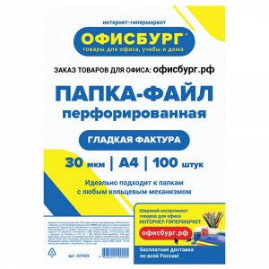 Папки-файлы перфорированные ОФИСБУРГ, А4, КОМПЛЕКТ 100 шт.,