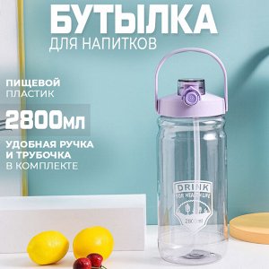 Бутылка для напитков "Drink", 2800 мл