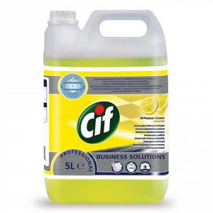 Чистящее средство 5л CIF (Сиф) Professional, универсальное д