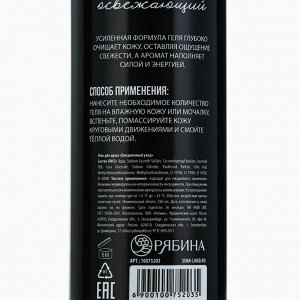 Подарочный набор косметики, гель для душа 250 мл и шампунь 250 мл, аромат ирландского виски, HARD LINE