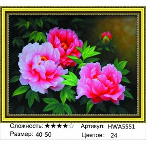 Алмазная мозаика 40х50