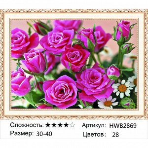 Алмазная мозаика 30х40 см