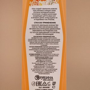 Подарочный набор «Сочное настроение»: гель для душа и пена для ванны, 2x250 мл, URAL LAB