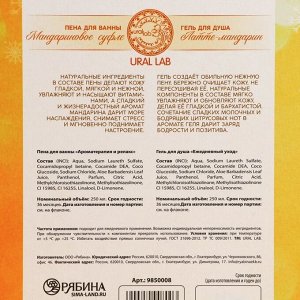 Подарочный набор «Сочное настроение»: гель для душа и пена для ванны, 2x250 мл, URAL LAB