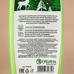 Подарочный набор «Чудесного года»: гель для душа и шампунь для волос, 2x250 мл, URAL LAB