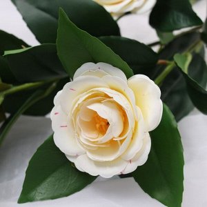 Цветы искусственные «Камелия», h=85 см, белые