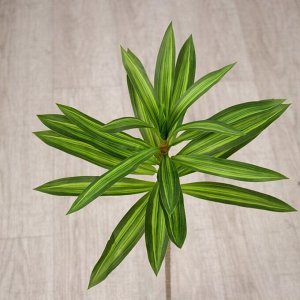 Цветы искусственные «Пальма домашняя люкс полоска», h=55 см, зелёные