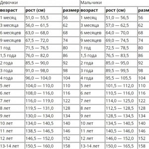 Размерная сетка