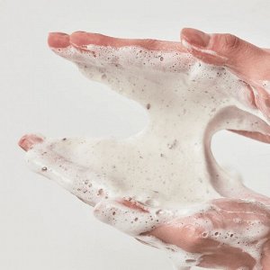 Anua Пенка-скраб с кверцетинолом для очищения пор Heartleaf Quercetinol Pore Deep Cleansing Foam