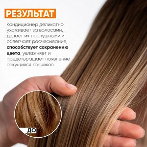 Эпика Кондиционер для восстановления и питания волос Epica Professional Amber Shine ORGANIC 250 мл