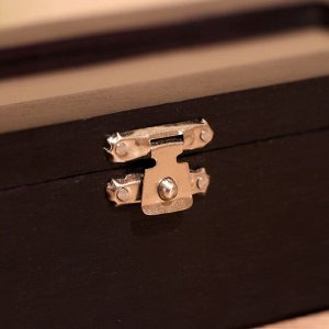 Игра настольная «Домино», в шкатулке, 20x7x4 см, дерево шишам