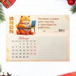 Календарь отрывной на магните &quot;Кот - 2&quot; с блоком для записей, 2025 год, 15 х 20 см