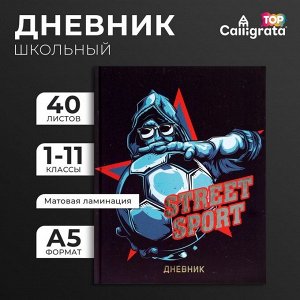 Дневник школьный для 1-11 классов, Street Sport, твёрдая обложка 7БЦ, матовая ламинация, тиснение фольгой, 40 листов