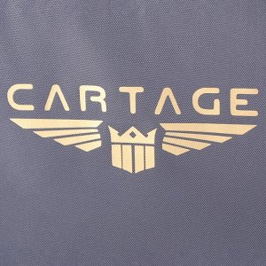 Термосумка Cartage Т-11, серая, 18 л, 35x21x24 см